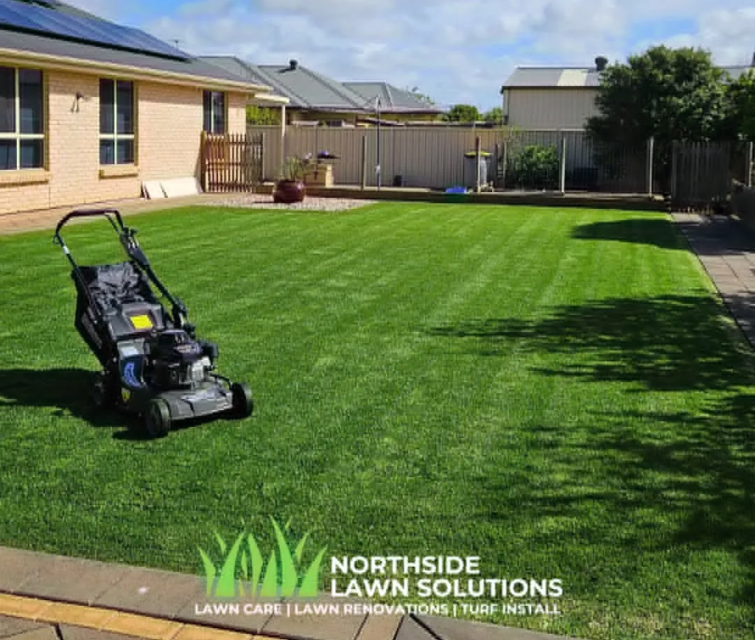 Freshly renovated lawn by Northside Lawn Solutions, shown beside Viktoria D.'s five-star Google review